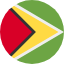 Flag Guyana